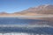 Beautiful lake with flamingos in Bolivian Andes