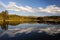 Beautiful Lake and Forest In The Mountains