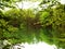 A beautiful lake with lush trees and the reflection of trees in the water