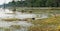 Beautiful lake near Neak Pean Temple, Cambodia