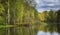 A beautiful lake in a summer green forest. Lake shoreline background reflection. Summer green lake view. Summer forest