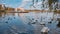 Beautiful lake with swans in autumn. Bucharest, Romania