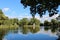 Beautiful lake with trees at Fehervarcsurgo