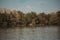 Beautiful lake view surrounded by trees