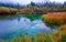 Beautiful lake Zelenci in autumn colors in the background the Martuljek mountain near the Kranjska Gora at Triglav national