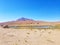 Beautiful lamas in the Andes in South America