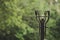 A beautiful lamppost on the background of a green forest 1202.