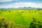 Beautiful landcape rice green field, mountain with blue sky in s