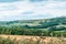 Beautiful landmark of Devonshire farmlands, far distance view for trees and fields, mostly man made landscape of british farms and