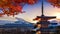 Beautiful landmark of Fuji mountain and Chureito Pagoda in autumn, Japan