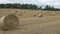 Beautiful landscape. Agricultural field. Round bundles straw bales in the field.