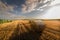 Beautiful landscape of agricultural wheat field - Round bundles