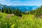 Beautiful Landscape in AllgÃ¤u -  Alps, Tegelberg
