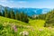 Beautiful Landscape in AllgÃ¤u -  Alps, Tegelberg