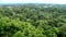 Beautiful landscape of the Amazon rainforest, Yasuni National Park, Ecuador.