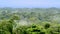 Beautiful landscape of the Amazon rainforest, Yasuni National Park, Ecuador.