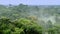 Beautiful landscape of the Amazon rainforest, Yasuni National Park, Ecuador. South America. ProRes footage.