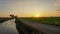 Beautiful landscape around rice paddy field during sunset in Sekinchan, Selangor, Malaysia.