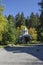 Beautiful landscape with autumnal venerable pine tree and old chapel, located in Old park Tsarska or Royal Bistritsa