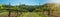 Beautiful landscape background, panorama of vineyards grapevines grapes in the Black Forest Durbach Offenburg Ortenaukreis,