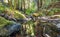 Beautiful landscape, bed of a mountain river with reflection and a stream of clear water in the shade of trees in a California