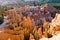 Beautiful landscape in Bryce Canyon