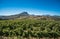 Beautiful landscape of Cape Winelands, wine growing region in South Africa