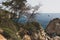 Beautiful landscape of the Caribbean sea with a rocky forested cliff in the Tremiti islands