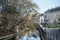 Beautiful landscape of channel with trees reflection in little venice in Colmar