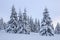 Beautiful landscape on the cold winter morning. Lawn and forests. Location the Carpathian Mountains, Ukraine, Europe