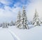 Beautiful landscape on the cold winter morning. Lawn and forests. Location place the Carpathian Mountains, Ukraine, Europe