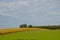 beautiful landscape, cornfield, autumn