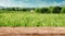 beautiful landscape of a defocused field with a focused tablet