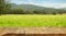 beautiful landscape of a defocused field with a focused tablet by day