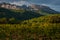 Beautiful landscape of the dentelle de montmirail , small mountains in provence France with vineyards in fore ground, taken at