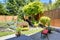 Beautiful landscape design for backyard garden