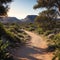 A beautiful landscape of a dirt path in the Cederberg mountains in South Africa made with Generative AI