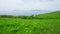 Beautiful landscape. Dirt road on top of a green hill.