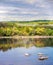 Beautiful landscape with duck on the stone in the river on cloudy spring day