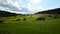 Beautiful landscape with emerging clouds above summer meadows and coniferous forest, afternoon sunshine.