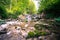 Beautiful landscape in Europe: Alpine River and waterfall in the forest