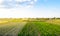 Beautiful landscape of farm fields. Cultivation of crops, production of food and raw materials. Top view of the countryside.