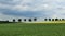 Beautiful landscape of the field of barley in the summer at the evening time, dark clouds.