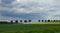 Beautiful landscape of the field of barley in the summer at the evening time, dark clouds.