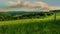 Beautiful landscape, a field of green grass, hills and clouds