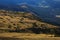 Beautiful landscape with flock of sheep in the Romanian Carpathian mountains