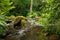 Beautiful landscape formed by small waterfalls on stones within a lush and green forest. Concept landscape, water, forest,