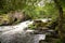 Beautiful landscape formed by small waterfalls on stones within a lush and green forest. Concept landscape, water, forest,