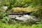Beautiful landscape formed by small waterfalls on stones within a lush and green forest. Concept landscape, water, forest,