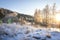 Beautiful landscape of frosty morning. Sunbeams illuminate edge forest